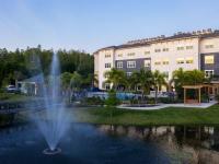 Community Pond with Fountain | Apartments in Tampa, FL | 5 Oaks at Westchase