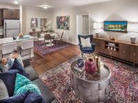 Model Living Room | Apartments in Midlothian, VA | Colony at Centerpointe