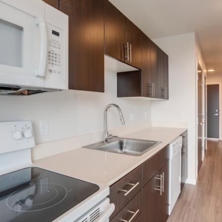 714 Kitchen Appliance Details - Range & Sink | HANA Apartments | Apartments Seattle WA