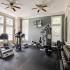Fitness center with floor to ceiling windows and ceiling fans. Two treadmills with elliptical machine between are positioned on the right side. Free weights are located on the right side under mirrored wall with multi-function machine posit