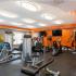 Cardio and Weight Fitness Center with Circuit Training, Cardio Machines and Free Weights | Canton Woods apartments in MA