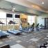 State-of-the-Art Fitness Center | Apartment Homes in Dallas, TX | Highpoint Senior Living