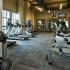 State of the art gym with amazing equipment