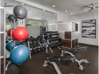 Plymouth Pointe Apartments - Norristown, PA - Gym: Free Weights