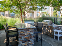 Plymouth Pointe Apartments - Norristown, PA - Outdoor Grill