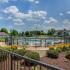 From a distance overlooking landscaping and pool area at The Landings at Chandler Crossings | MSU Student Housing