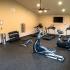Long Pond Village Apartments, interior, fitness center, elliptical, treadmill, weights