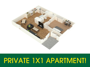 Private 1 by 1 Apartment!