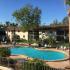 Marcell Gardens Apartments, exterior, sparkling blue swimming pool, two story building, balconies,