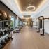 Indoor gym with windows, an Echelon Reflect Mirror, yoga space, machines and equipment.