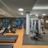 Gym with a wall of mirrors, treadmills, stationary bikes, ellipticals, weights and machines.