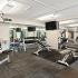 Fitness Center  at The Views of Naperville apartments