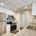 Upgraded 1 Bedroom Tower Scene Kitchen at The Views of Naperville apartments