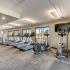 Fitness Center at The Views of Naperville apartments