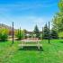 Outdoor Picnic Tables | Apartments Near Naperville IL | ReNew Downer's Grove