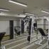 Fitness center with cardio and weight machines and free weights