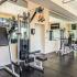State-of-the-Art Fitness Center | Apartment Homes in Chesapeake, Virginia | The Carlton at Greenbrier