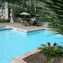 resort style pool at our apartments for rent in temple tx