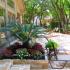 Beautifully Landscaped Grounds | Chappell Oaks Apartments