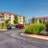 Palm Village - TLC Properties - Apartments Springfield, MO