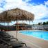 Palm Village - TLC Properties - Apartments Springfield, MO - Outdoor Pool - Swimming Pool - Pool