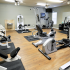Fitness Center at Palm Village