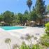 420 Smilax Rd San Marcos CA-Pool and Spa Area