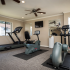 3634 College Blvd, Oceanside, CA 92056-Milano at Carlsbad Apartment Homes Fitness Room