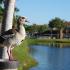 La Vue at Emerald Pointe, duck, 3 story apartments with lakeside view, trees, lake, well-groomed landscape