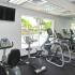 La Vue at Emerald Pointe, fitness center, cardio equipment, large window, large mirror, TV monitor, poolside view