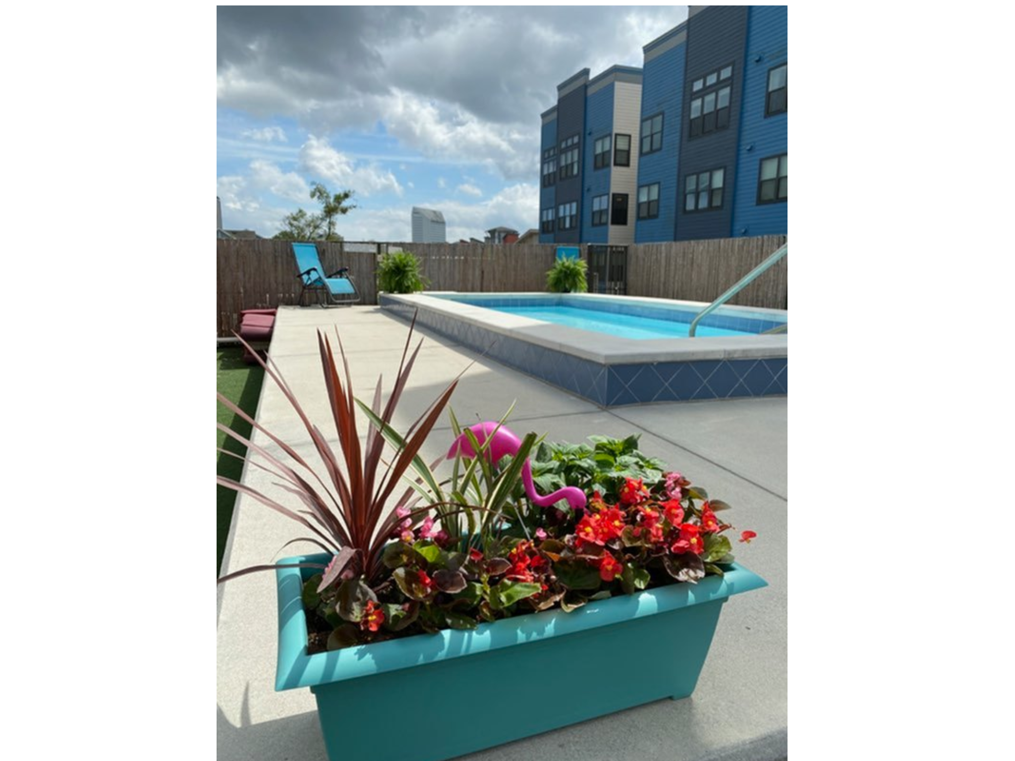 Gallery & Tours Eclipse on Madison Tallahassee Apartments Near FSU