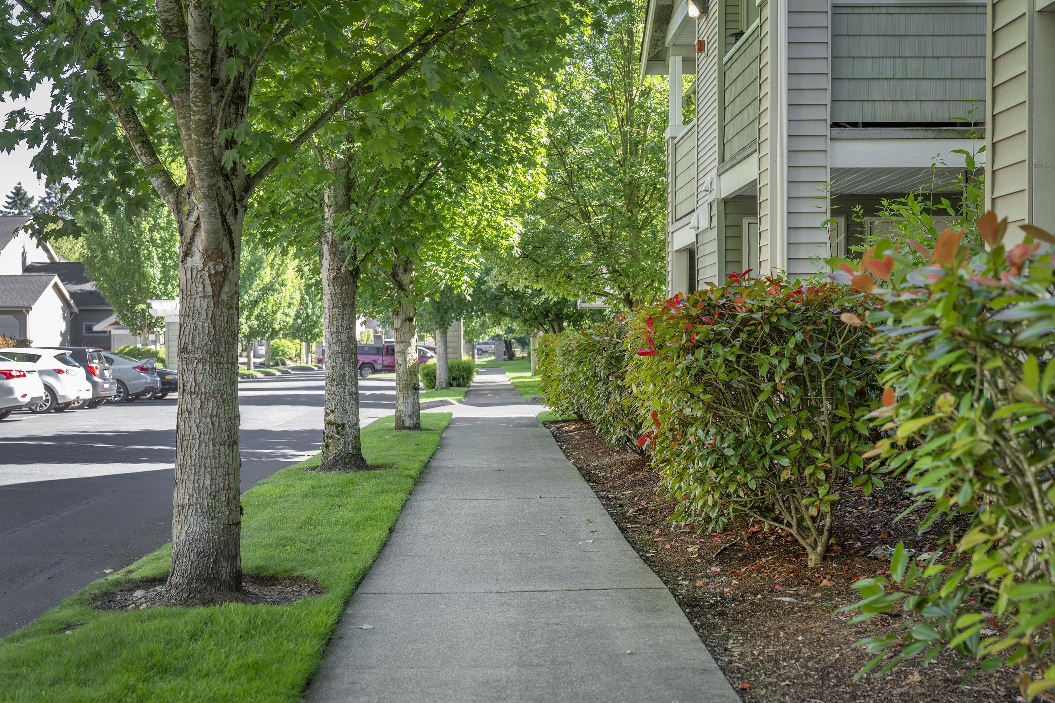 View Photos | Cedar Court