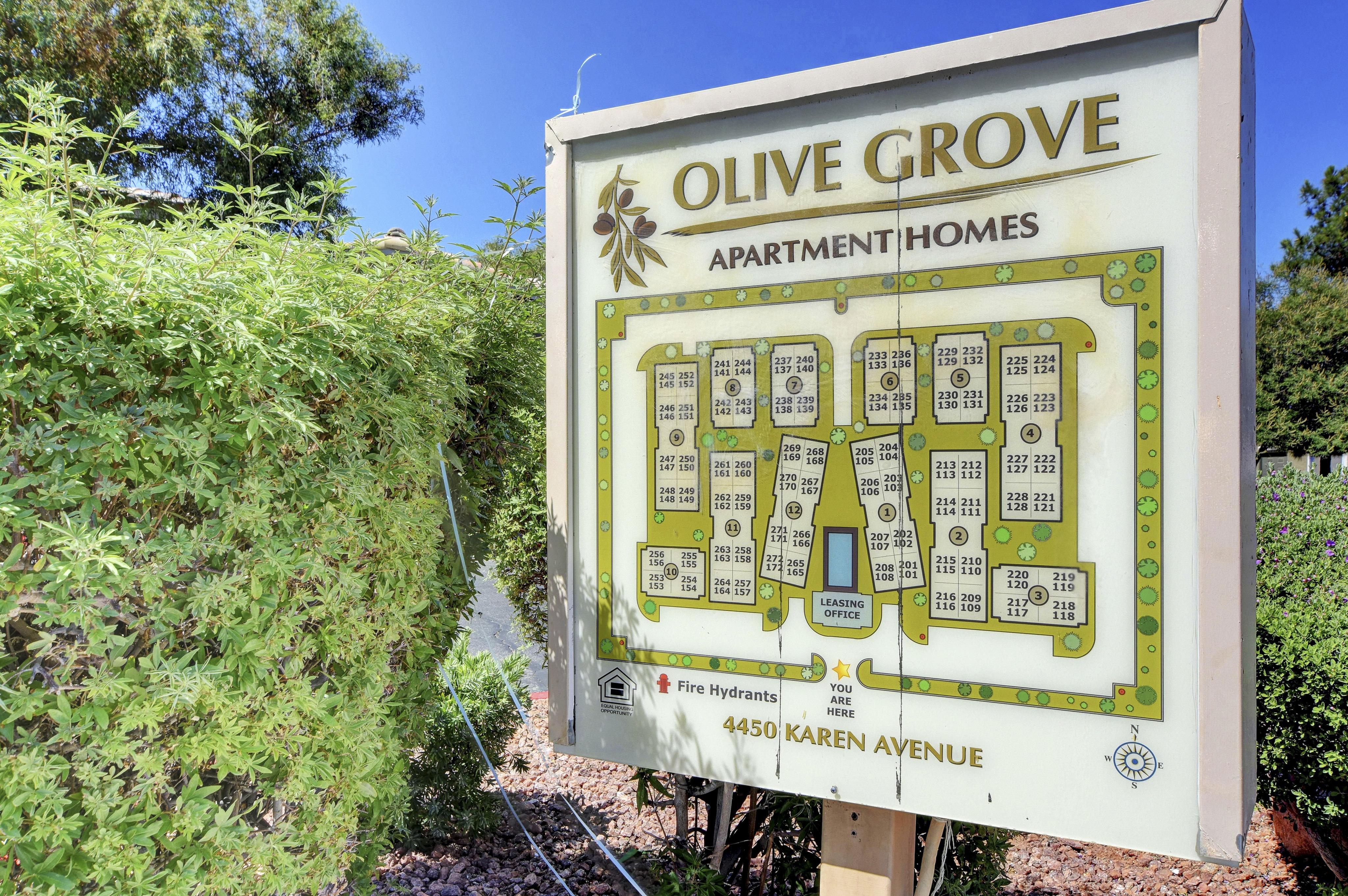 View Photos Olive Grove