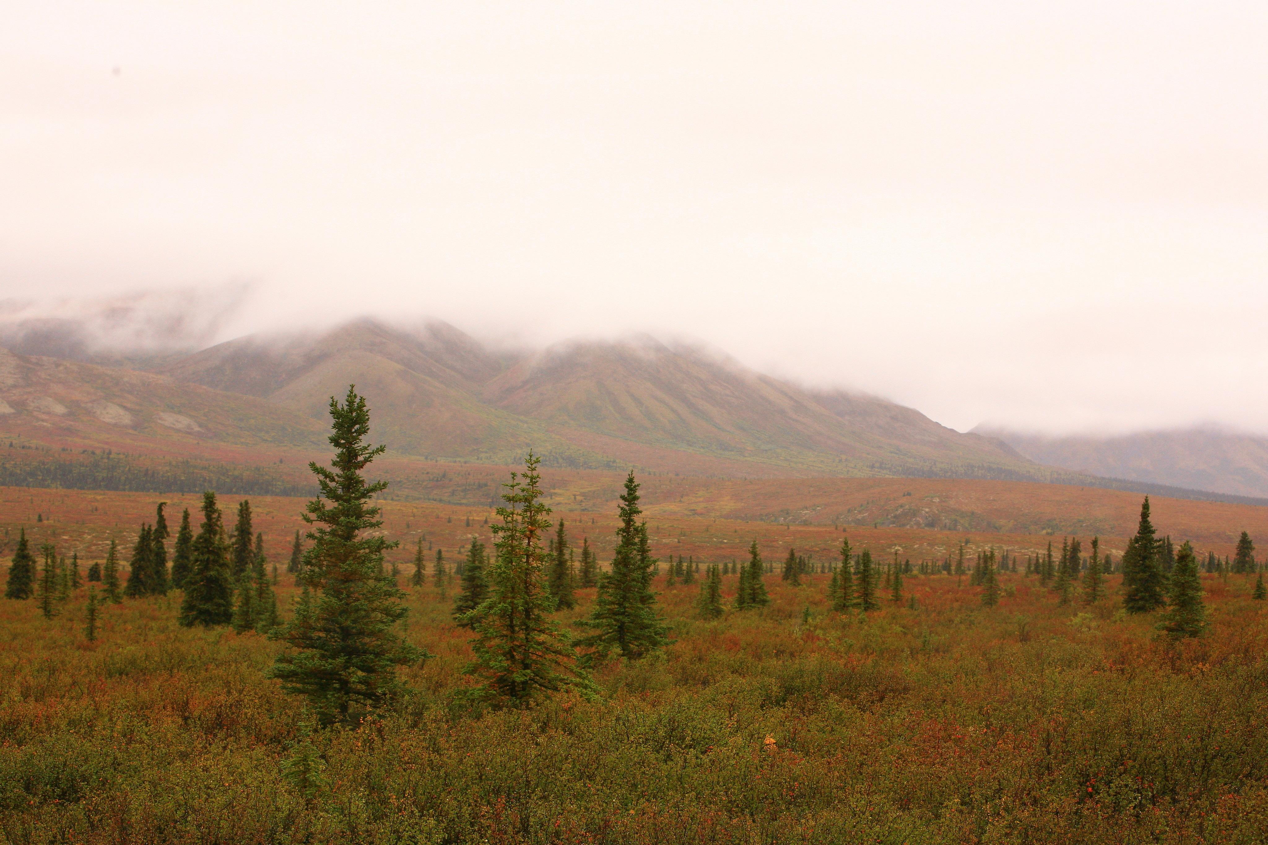 Fort Wainwright On Post Housing North Haven Communities at Fort