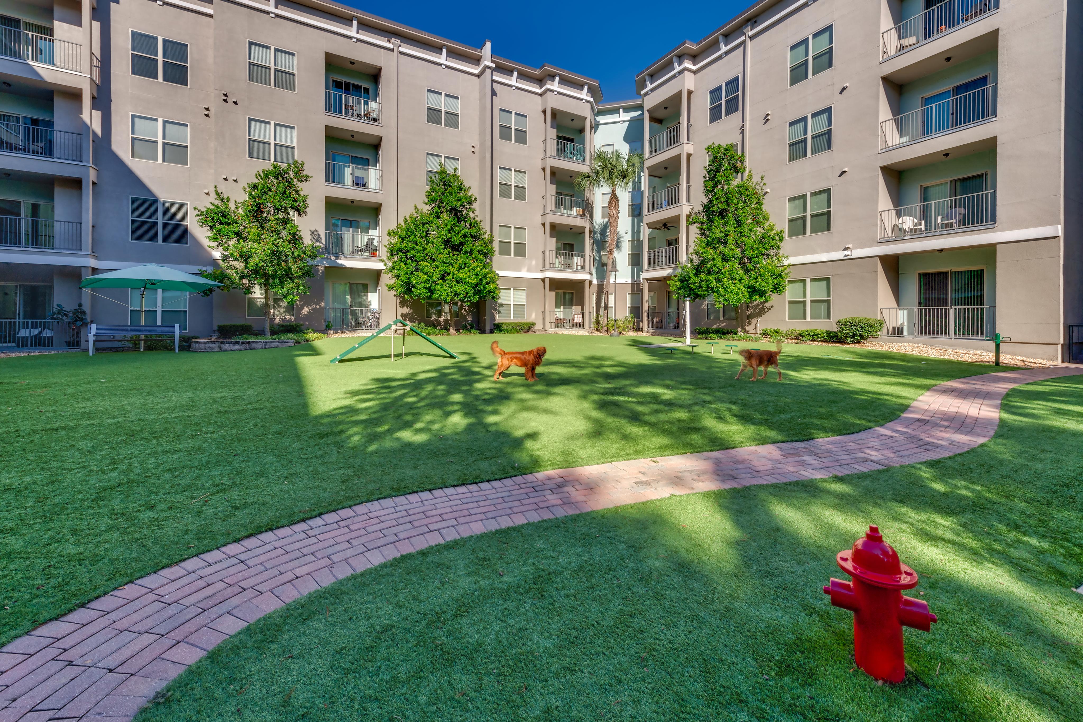 Apartment For Rent In Westshore Tampa FL The Millennium Westshore