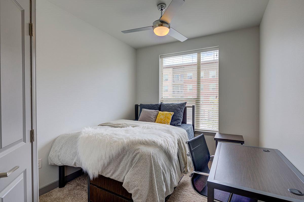 Photos UTD Off Campus Housing Northside Apartments