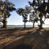 Sunset View of Ocean | Beaufort SC Waterfront View | Trees in Sunshine | Horizon View