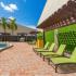 Belleza, exterior, sparkling blue swimming pool, green lounge chairs, green wall, palm trees, clubhouse exterior,