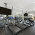 Fitness Center Treadmills  | Apartments On Beltway 8 | Advenir at Wynstone