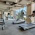 State-of-the-Art Fitness Center | Apartments In South Nashville | Note 16