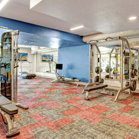 Fitness Center with Cardio and Strength Training Equipment