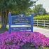 Blue Welcome to Our Community sign surrounded by pink petunias
