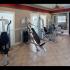 Gym | Enclave at Northwood | Clearwater Apartments