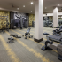 State-of-the-Art Fitness Center | Luxury Apartments In San Antonio Texas | 1800 Broadway