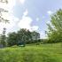 Large, fenced dog park with lush green grass, trees and obstacles for dogs at Summit Place apartments in Methuen, MA.