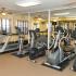 apartments for rent in bowie md Fitness Center at Truman Park Apartments