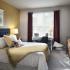 Spacious Master Bedroom | Bel Air Maryland Apartments | The Park at Winters Run