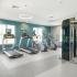 State-of-the-Art Fitness Center | Apartments Canton MA | Residences at Great Pond