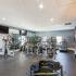 fitness center with cardio and weight equipment and free weights