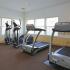 Fitness center with treadmills and ellipticals at The Commons at Fallsington apartments for rent in Morrisville, PA